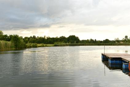 DSC_9961